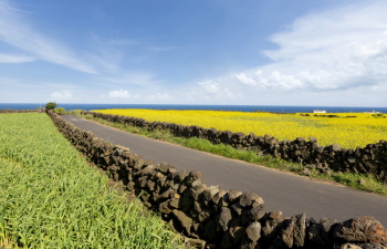Voyage en bus dans l'est de Jeju, facilement accessible avec un code QR