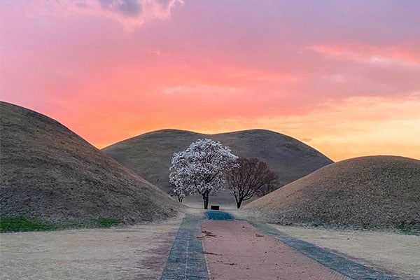 Une escapade pique-nique en toute tranquillité à Gyeongju